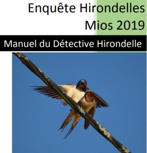Enquête Hirondelles Mios 2019 Enquête Hirondelles Mios 2019