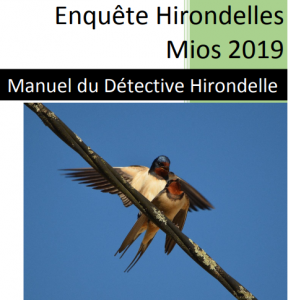 Enquête Hirondelles Mios 2019